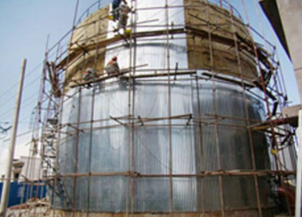 �����͹������ރȲ�����